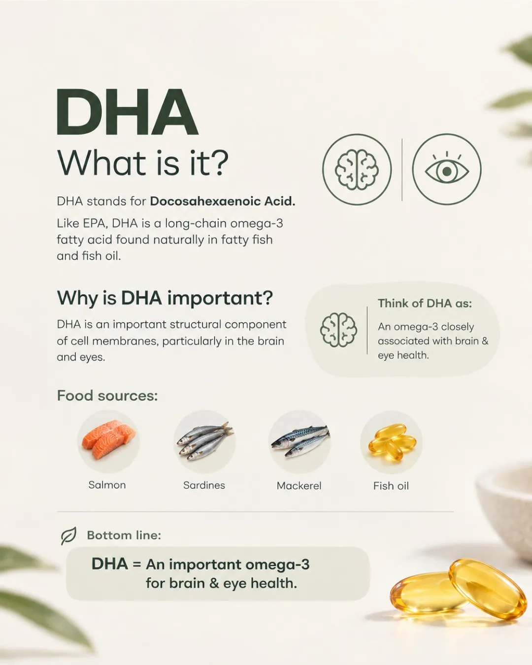 Omega-3 Fish Oil — DHA explained